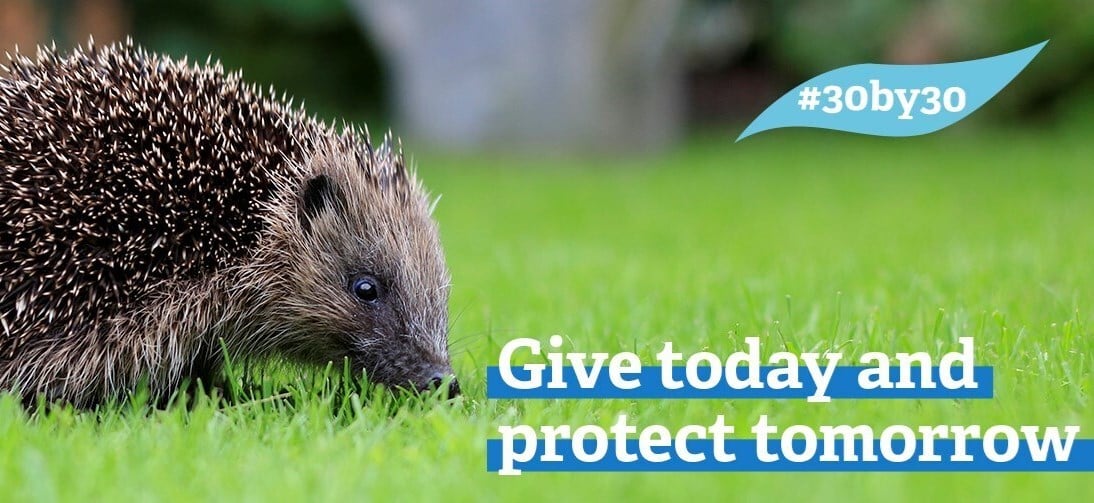 The Wildlife Trusts