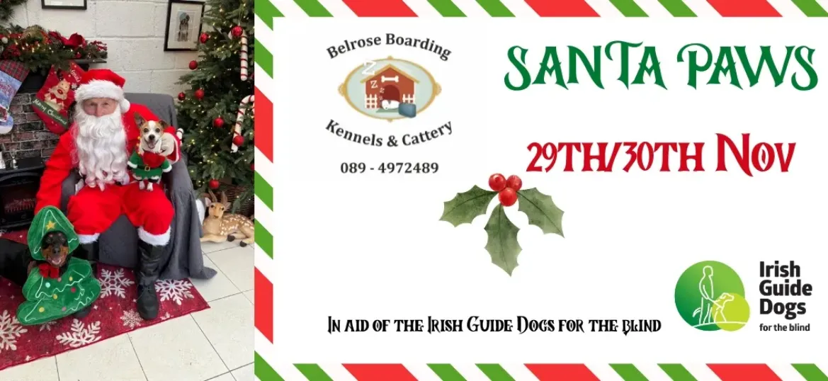 SantaPaws at Belrose Boarding Kennels and Cattery