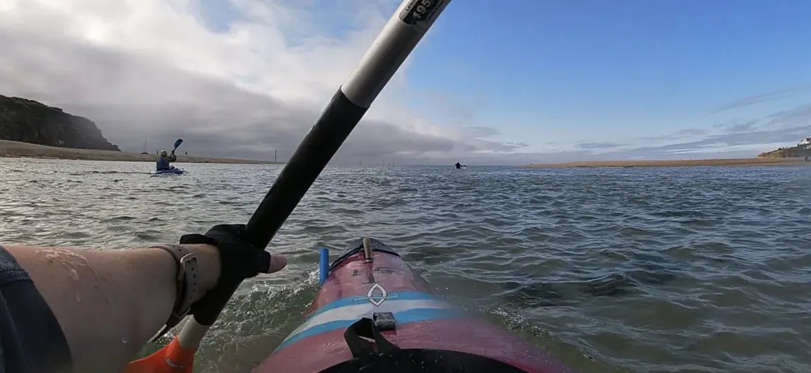 Surfers Against Sewage