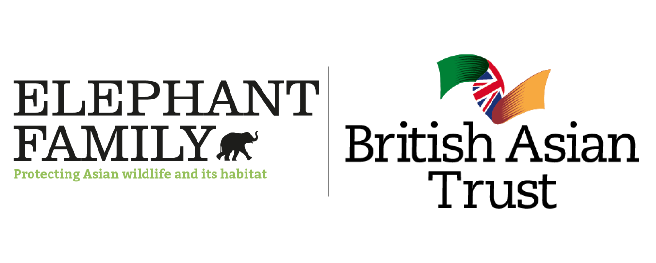 Elephant Family: Your donation will be doubled this Christmas 