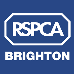 RSPCA Brighton & The Heart of Sussex